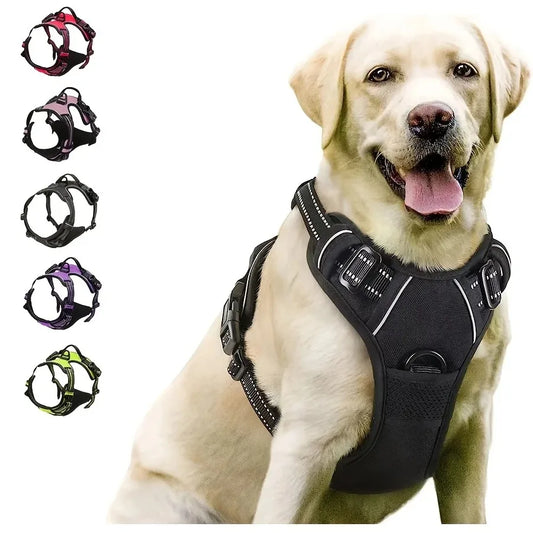 Harnais + Laisse + Collier Set pour Chien | Cuir PU Premium