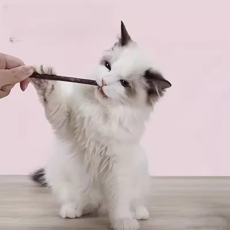 Friandises Bâtonnets pour Chats | Lot de 10, 15 ou 20 Bâtonnets Naturels