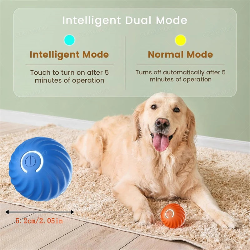 Balle Interactive Intelligente pour Chien | Mouvement Auto USB