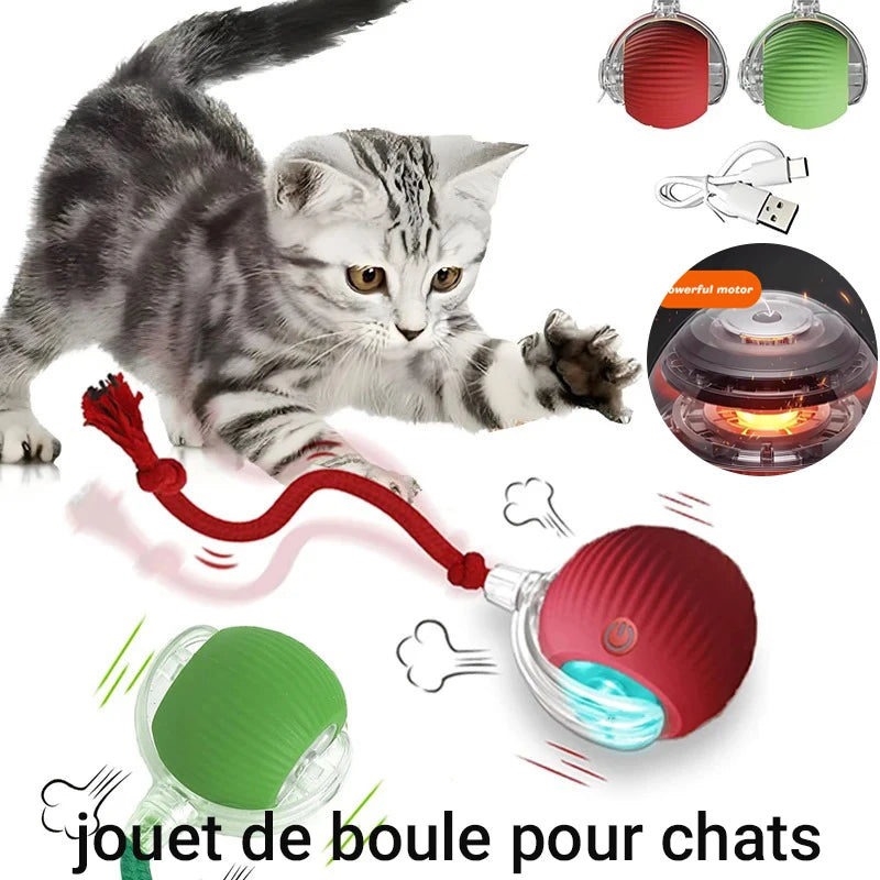Balle Interactive Automatique pour Chat | Rechargeable USB, Smart