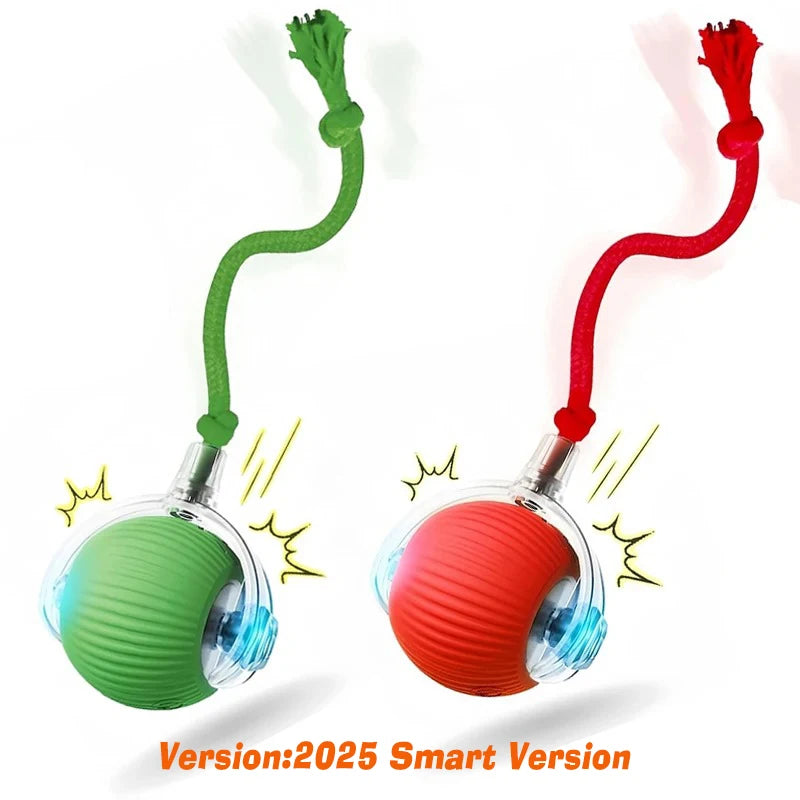 Balle Interactive Automatique pour Chat | Rechargeable USB, Smart