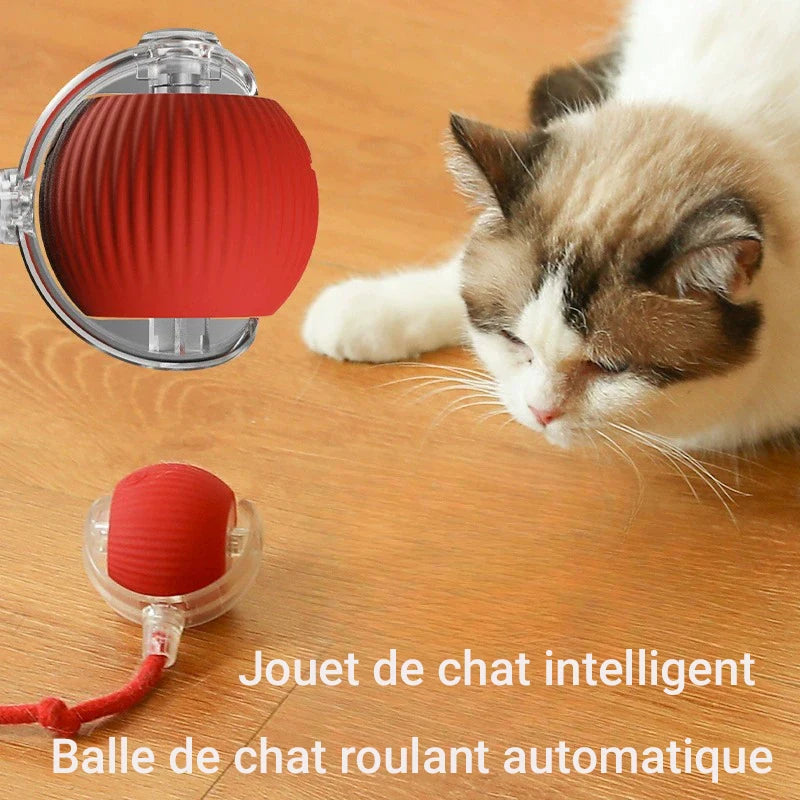 Balle Interactive Automatique pour Chat | Rechargeable USB, Smart