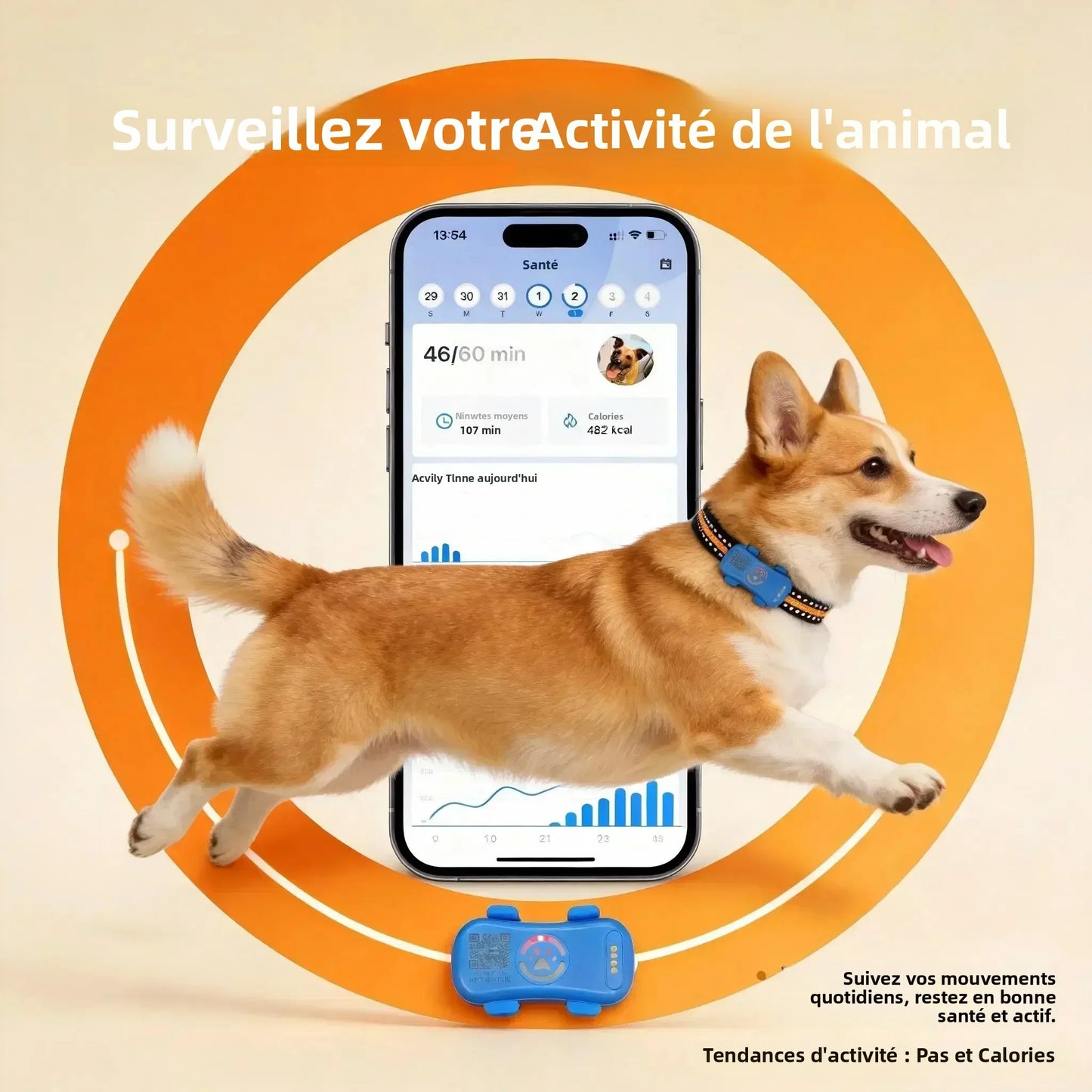 Traceur GPS 4G pour Chien et Chat | Suivi Temps Réel, SIM Intégrée