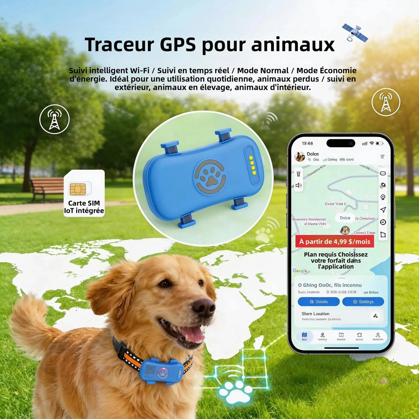 Traceur GPS 4G pour Chien et Chat | Suivi Temps Réel, SIM Intégrée