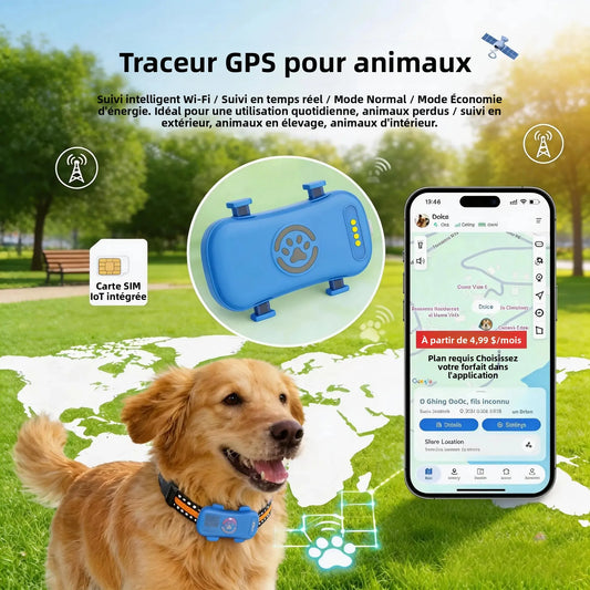 Traceur GPS 4G pour Chien et Chat | Suivi Temps Réel, SIM Intégrée