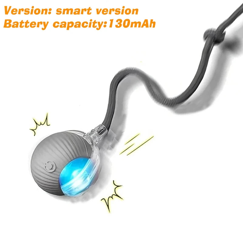 Balle Interactive Automatique pour Chat | Rechargeable USB, Smart