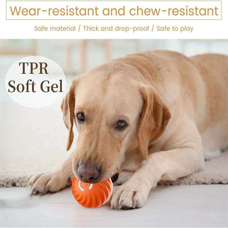 Balle Interactive Intelligente pour Chien | Mouvement Auto USB