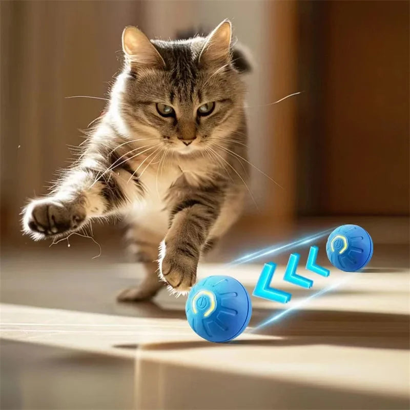 Balle Interactive Intelligente pour Chien | Mouvement Auto USB