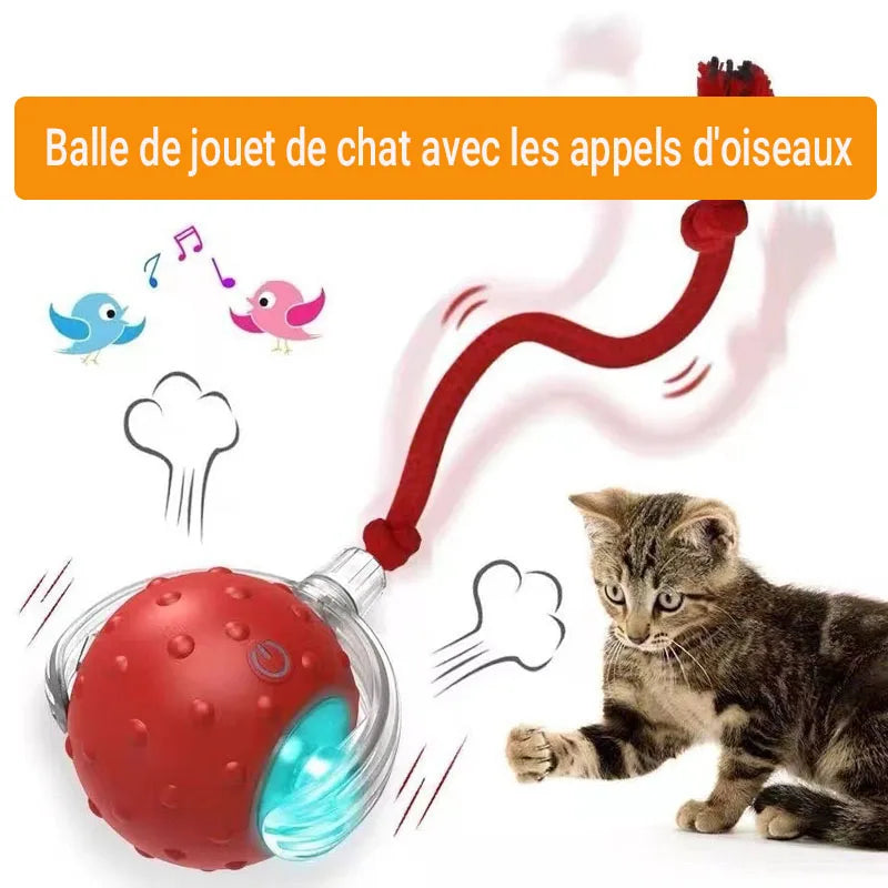 Balle Interactive Automatique pour Chat | Rechargeable USB, Smart