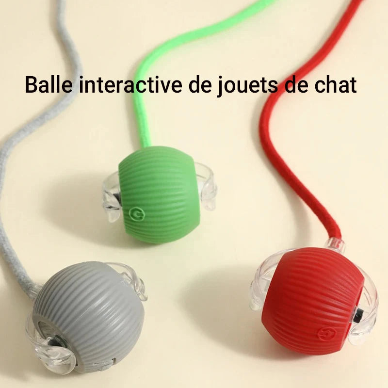 Balle Interactive Automatique pour Chat | Rechargeable USB, Smart