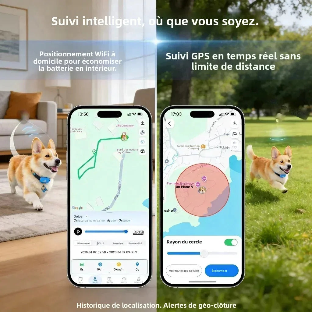 Traceur GPS 4G pour Chien et Chat | Suivi Temps Réel, SIM Intégrée