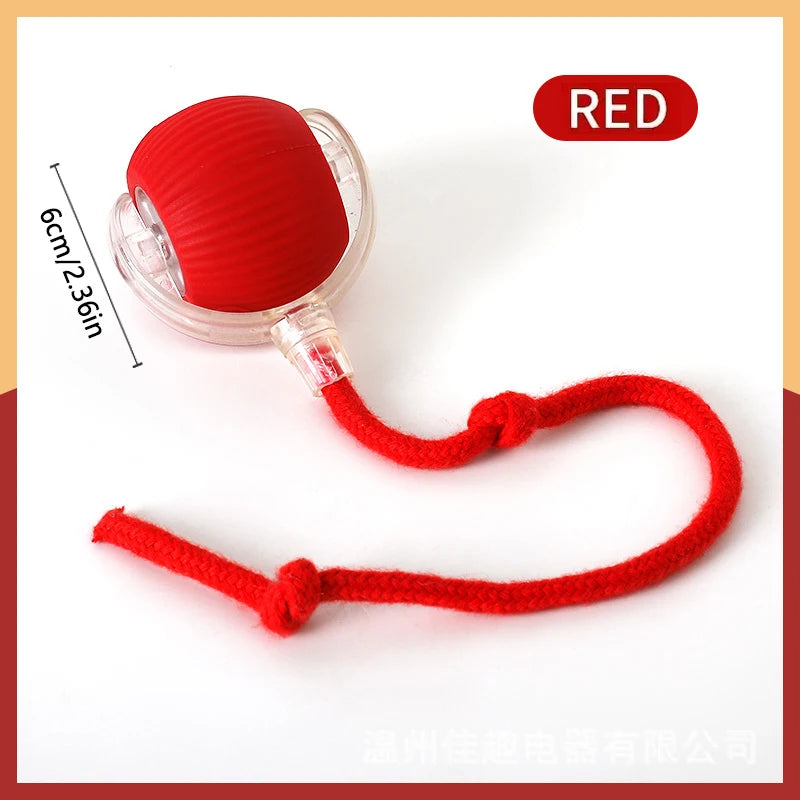 Balle Interactive Intelligente pour Chien | Mouvement Auto USB