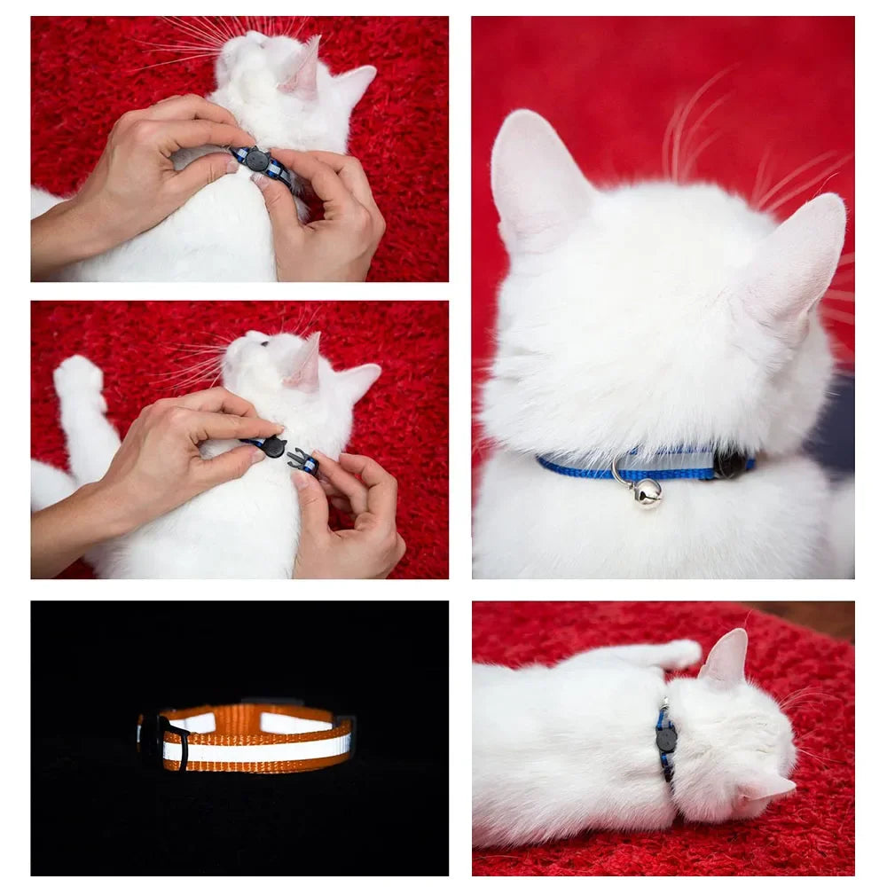 Collier Réfléchissant Sécurisé pour Chat | Boucle Safety + Clochette