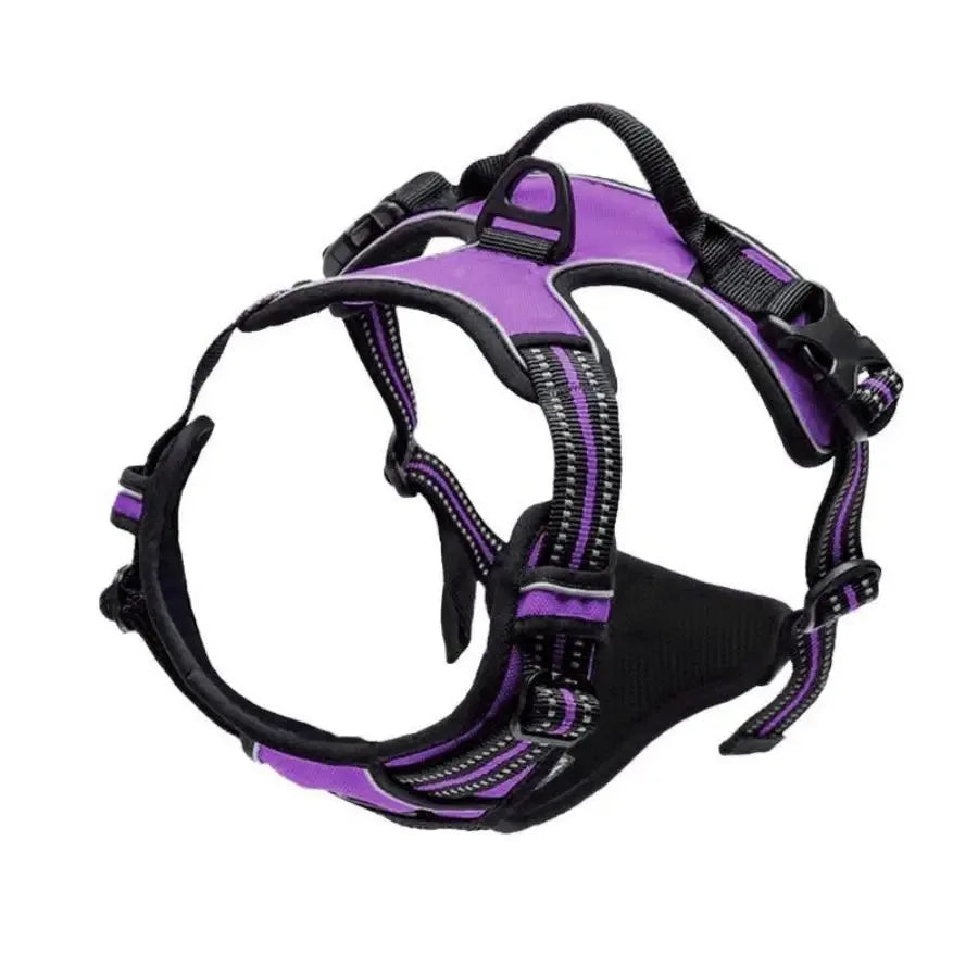 Harnais + Laisse + Collier Set pour Chien | Cuir PU Premium