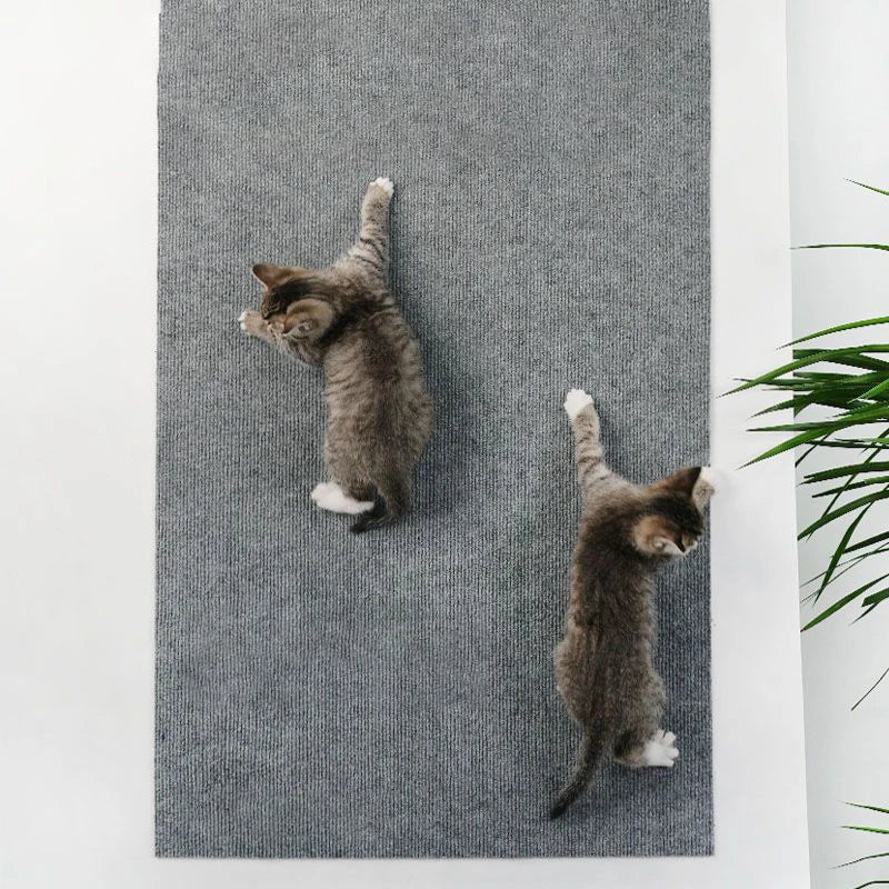 Griffoir Autocollant pour Chat | Tapis Grattoir Antidérapant Multiformat