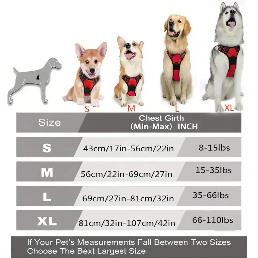 Harnais + Laisse + Collier Set pour Chien | Cuir PU Premium
