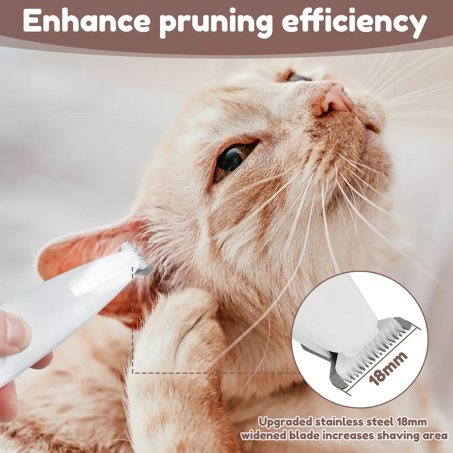Taille-Pattes LED Étanche pour Chiens | Toilettage Professionnel
