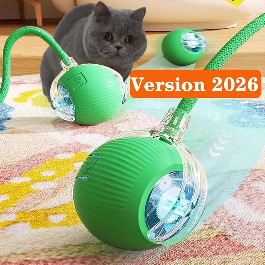 Balle Interactive Automatique pour Chat | Rechargeable USB, Smart