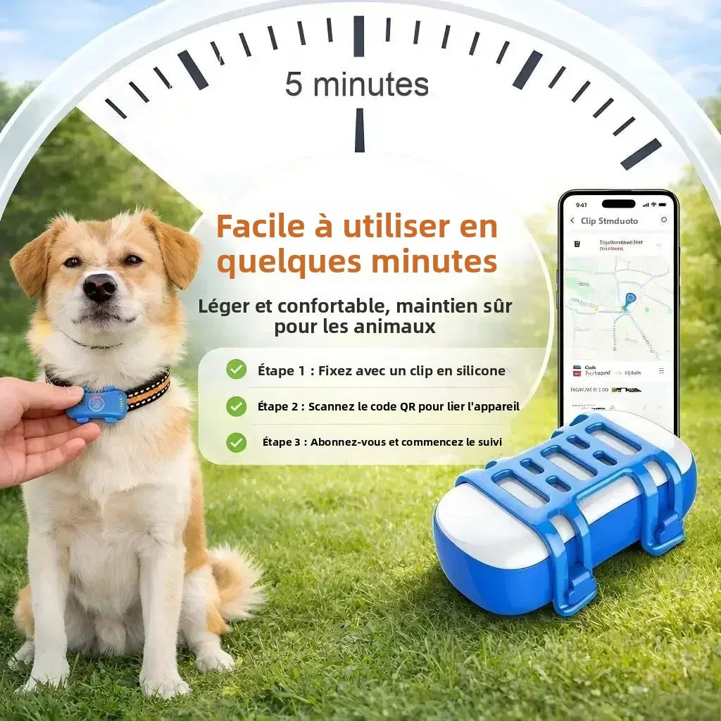 Traceur GPS 4G pour Chien et Chat | Suivi Temps Réel, SIM Intégrée