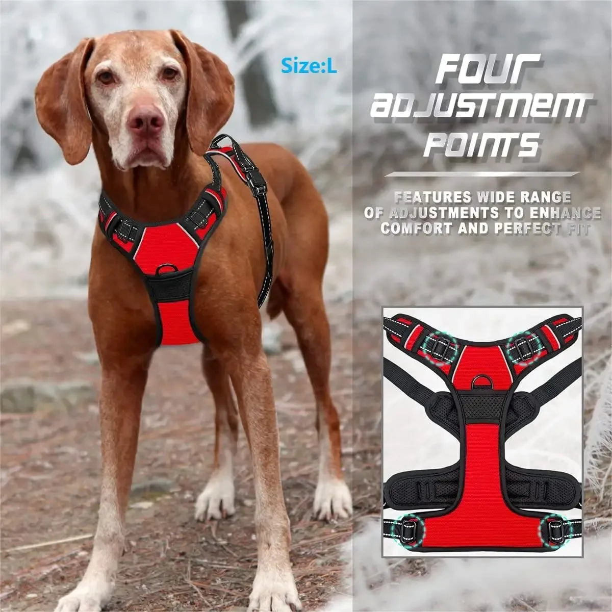 Harnais + Laisse + Collier Set pour Chien | Cuir PU Premium